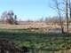 Acres Fantastic Hunting Property in Mason Michigan Photo 2