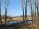 Acres Fantastic Hunting Property in Mason Michigan Photo 3