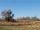 Acres Fantastic Hunting Property in Mason Michigan Photo 4