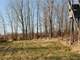 Acres Fantastic Hunting Property in Mason Michigan Photo 5