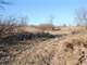 Acres Fantastic Hunting Property in Mason Michigan Photo 8