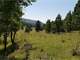 8.9 Acres Bordering Government Land Photo 3