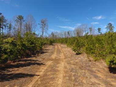 Listing: 7636309, Blackstone, VA