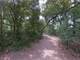 0.42 Acre in Silver Springs FL Photo 4