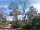 0.42 Acre in Silver Springs FL Photo 5