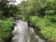 Recreational Wonderland with Trout Stream in Southwestern Wisconsin Photo 5