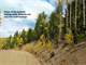 Hunting Colorado- Mountain Property for Sale Easy Access Owner Financing Photo 3
