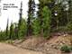 Hunting Colorado- Mountain Property for Sale Easy Access Owner Financing Photo 4