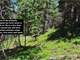 Hunting Colorado- Mountain Property for Sale Easy Access Owner Financing Photo 6