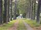 Acre Hunting Farm in Burna Kentucky Photo 2