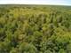 Hunting Parcel in Chippewa County New Auburn Wi. Acres Photo 12