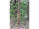 Hunting Land in Crawford County Eastman WI 95.08 Acres Photo 11