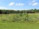 Hunting or Hobby Farm Property for Sale in Neillsville WI Photo 10