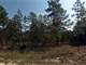 0.25 Acre in Dunnellon FL Photo 3