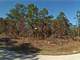 0.25 Acre in Dunnellon FL Photo 4