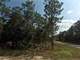 0.25 Acre in Dunnellon FL Photo 6