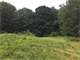 Land Contract Terms Just Over Ten Acres Near Hungerford Lake Photo 1