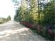 Small Recreational Wooded Tract with Frontage-Almost 6 Acres Photo 2