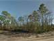 0.56 Acre in Interlachen FL Photo 2