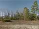 0.56 Acre in Interlachen FL Photo 6