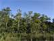 Private Land ON the Big Cypress National Preserve Photo 9