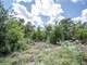 Great Acres Hunting Land Just Off I-45 Photo 15