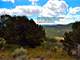 Under Contract - Mountain Property- Borders Common Lands with Great Hunting Photo 11