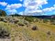 Under Contract - Mountain Property- Borders Common Lands with Great Hunting Photo 12