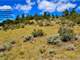 Under Contract - Mountain Property- Borders Common Lands with Great Hunting Photo 5