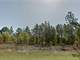 .25 Acre in Dunnellon FL Photo 1