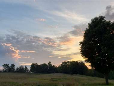 Listing: 9914843, Reading, MI