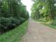 Acre Parcel Great for Hunting in Portage County WI