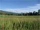 Beautiful Mountain Meadow Base Camp in Colorado Sangre DE Cristos