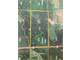 Bruce- Rec- 80-Peeler-Rusk Great Hunting
