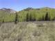 Colorado Hunting Ranch Borders National Forest