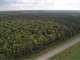 Deer and Bear Hunting 80-Acre Parcel Just East Jump River WI