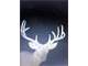 Diverse Mississippi Hunting Land Online Only Auction