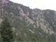 Elk Hunting Boulder County CO Gmu