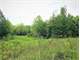 Estate Settlement Auction – Incredible 91- Acre Farm