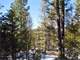 Government Land ON Multiple Boundaries and the Property Loaded with Wild
