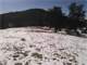 Great Elk Hunting in Colorado Desireable Gmu One Hour From Colo Springs