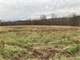 Great Hunting Property for Auction in Covington Pennsylvania
