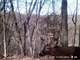 Hunting Land for Sale Richland County WI