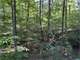 Indiana Recreational Land Cabin for Sale
