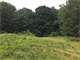 Land Contract Terms Just Over Ten Acres Near Hungerford Lake