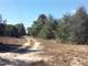 Large Hunt Camp Property with Utilities