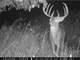 Log Home in Columbia County WI with 40- Acres Prime Whitetail Hunting
