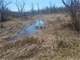 Looking for Hunting Recreation or Nature