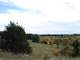 Macon County Missouri Hunting Land for Sale Owner