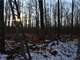 Marathon County Wisconsin Hunting Land for Sale